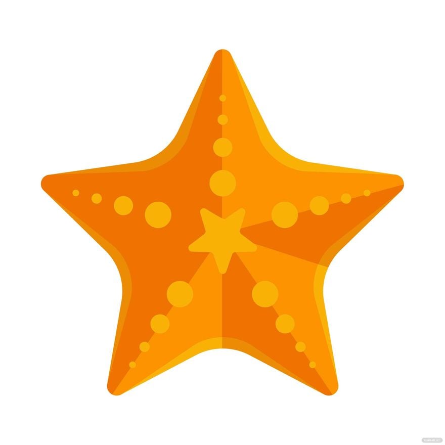 Starfish Icon - Vibrant Orange Marine Life Illustration for Web & Print