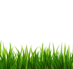 Fresh Green Grass Illustration - Nature Background for Web & Print