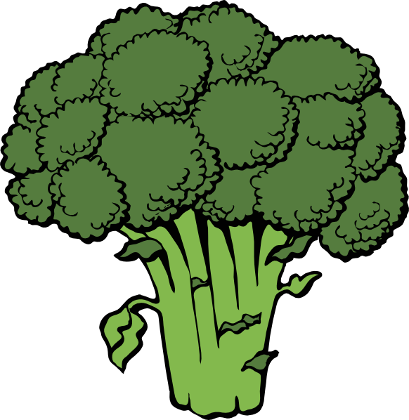 Broccoli Illustration - Fresh, Healthy Vegetable Clipart for Nutrition Content