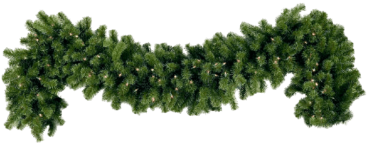 Green pine Christmas garland with warm white lights, isolated on black background.