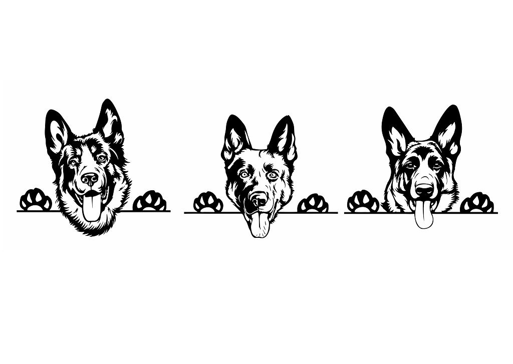 Three black-and-white German Shepherd heads peeking over a line with paw prints on either side.