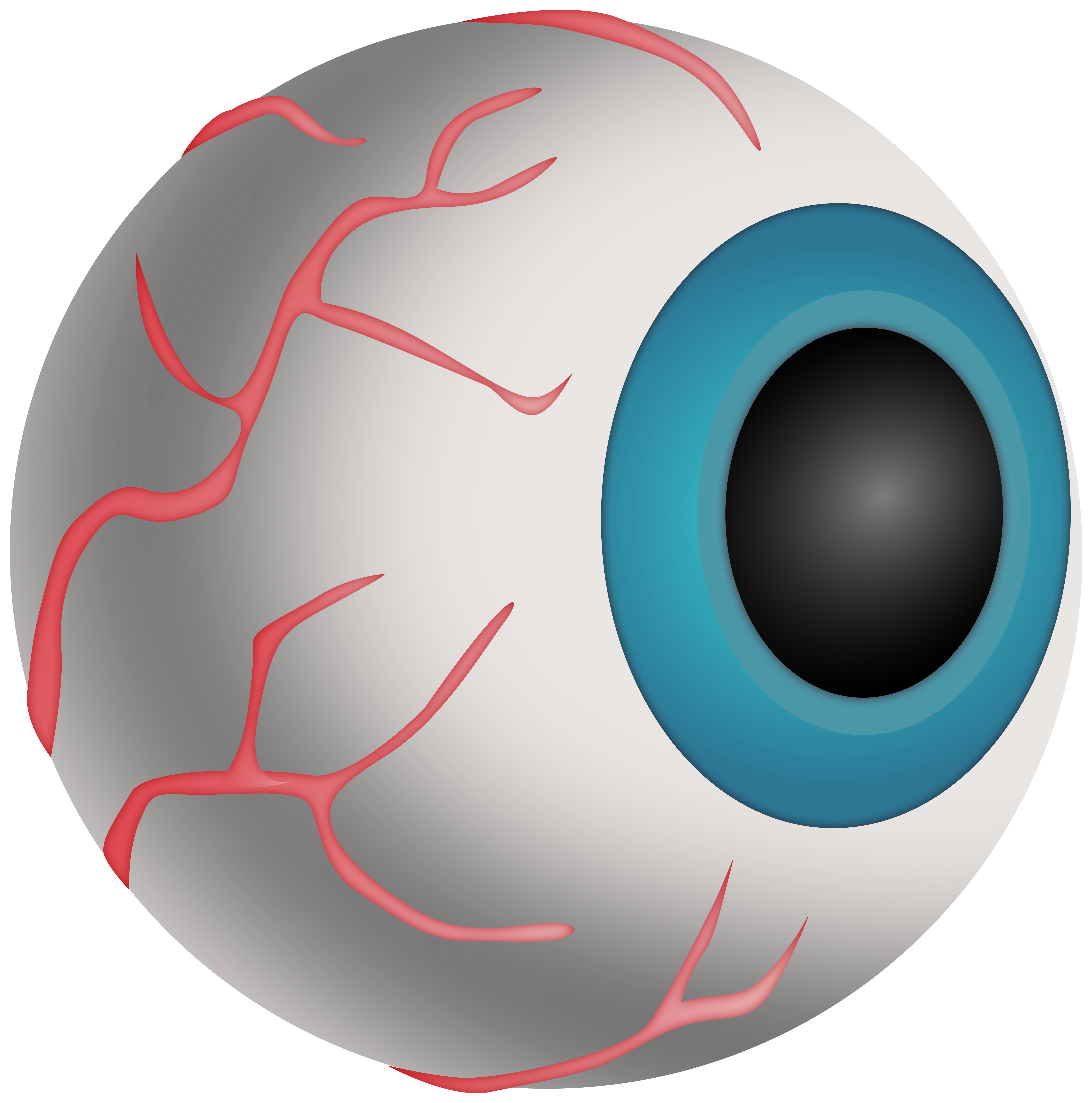 Anatomical illustration of a human eye with visible blood vessels on the sclera and a blue iris.