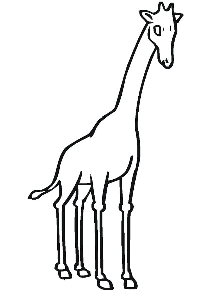 Giraffe Coloring Page - Free Printable Line Art for Kids & Adults