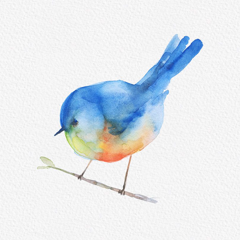 Watercolor Blue Bird Art - Delicate Perched Songbird Illustration
