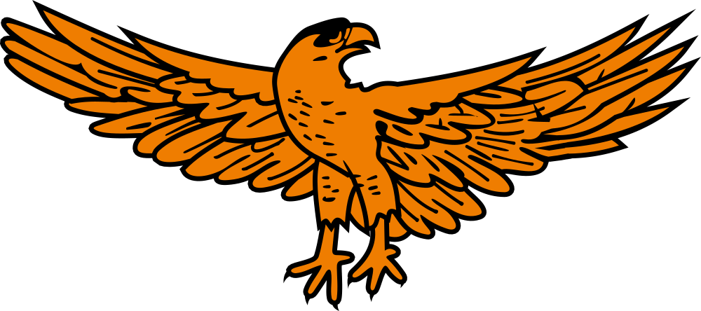 Vibrant orange stylized eagle with outstretched wings and talons, depicted in bold line art against a black background.