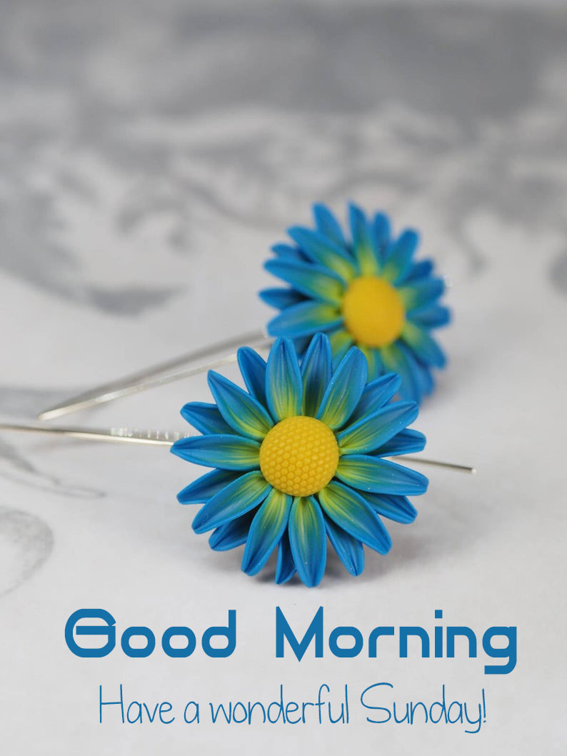 Blue and yellow daisy-shaped hairpins on a marble background with "Good Morning" text.