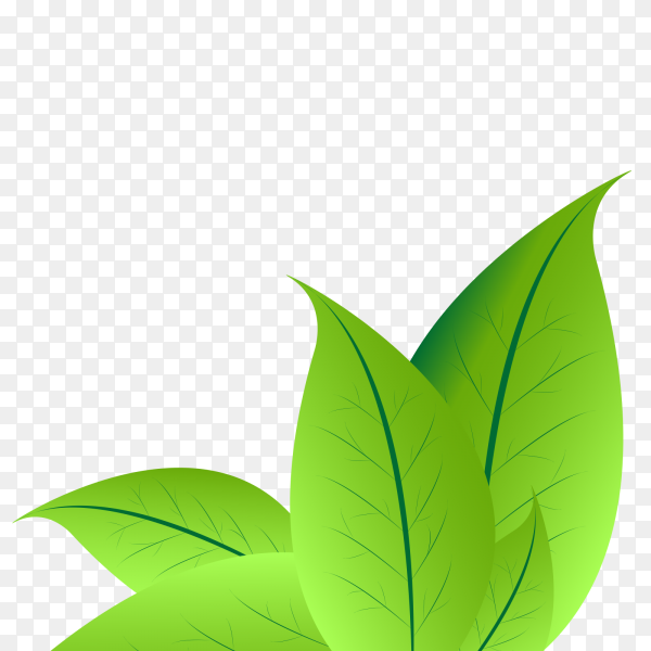 Green Leaf Png Clip Art Best Web Clipart Clip Art Library