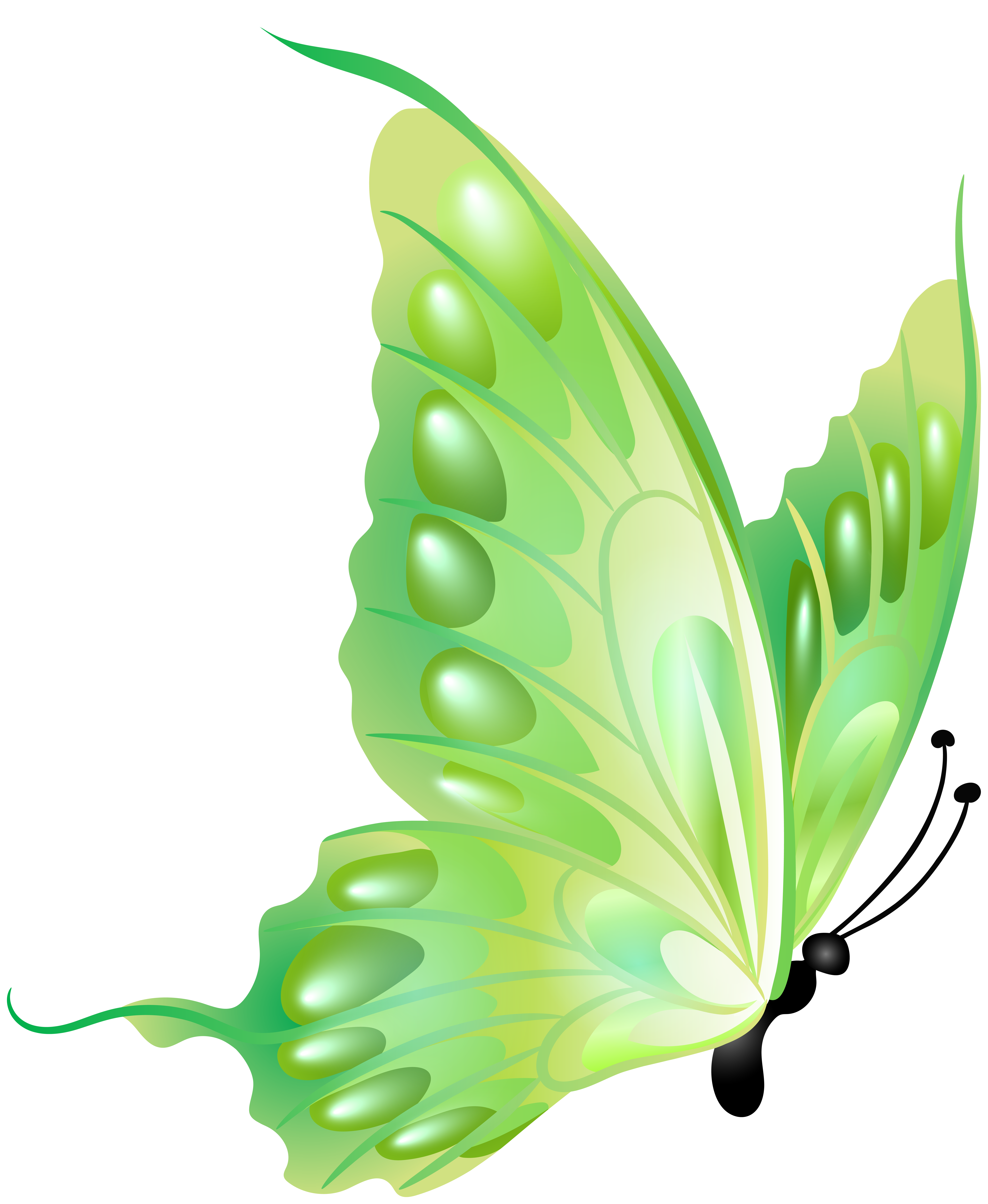 Green Flying Butterfly PNG Clipart​