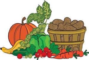 Growing Plant Process Clipart Set. Digital Images or Vector - Clipart Library 