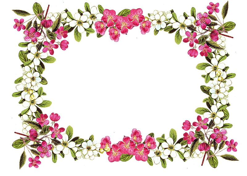 Decorative floral border frame with pink and white blossoms and green leaves on white background.