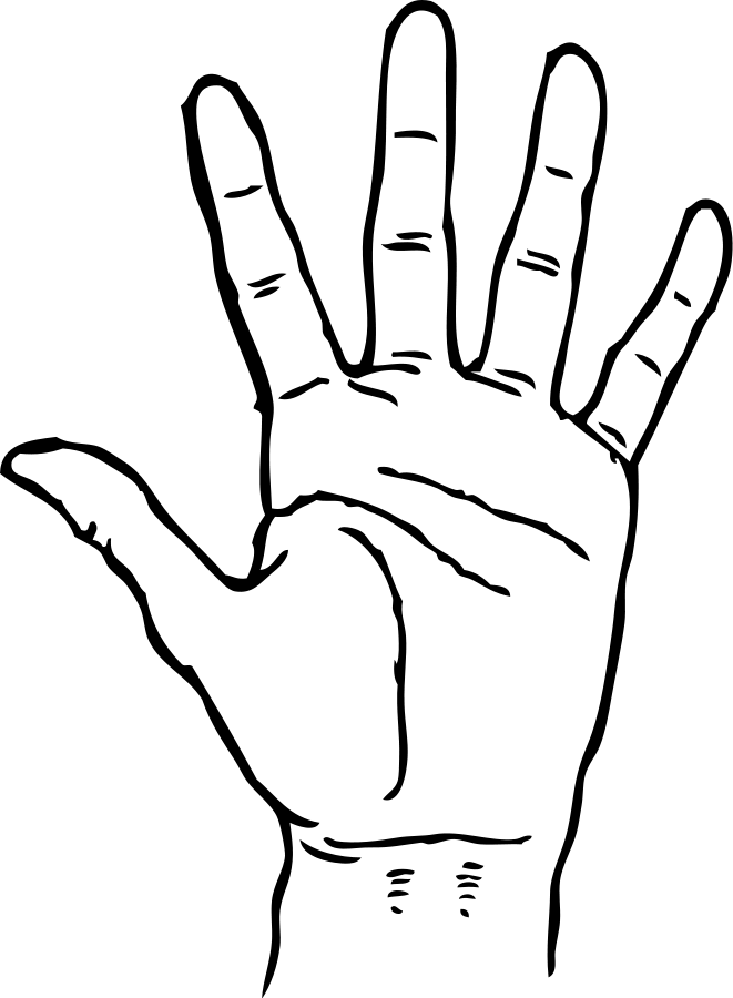 Blank Image Placeholder - Default Asset for Web Development