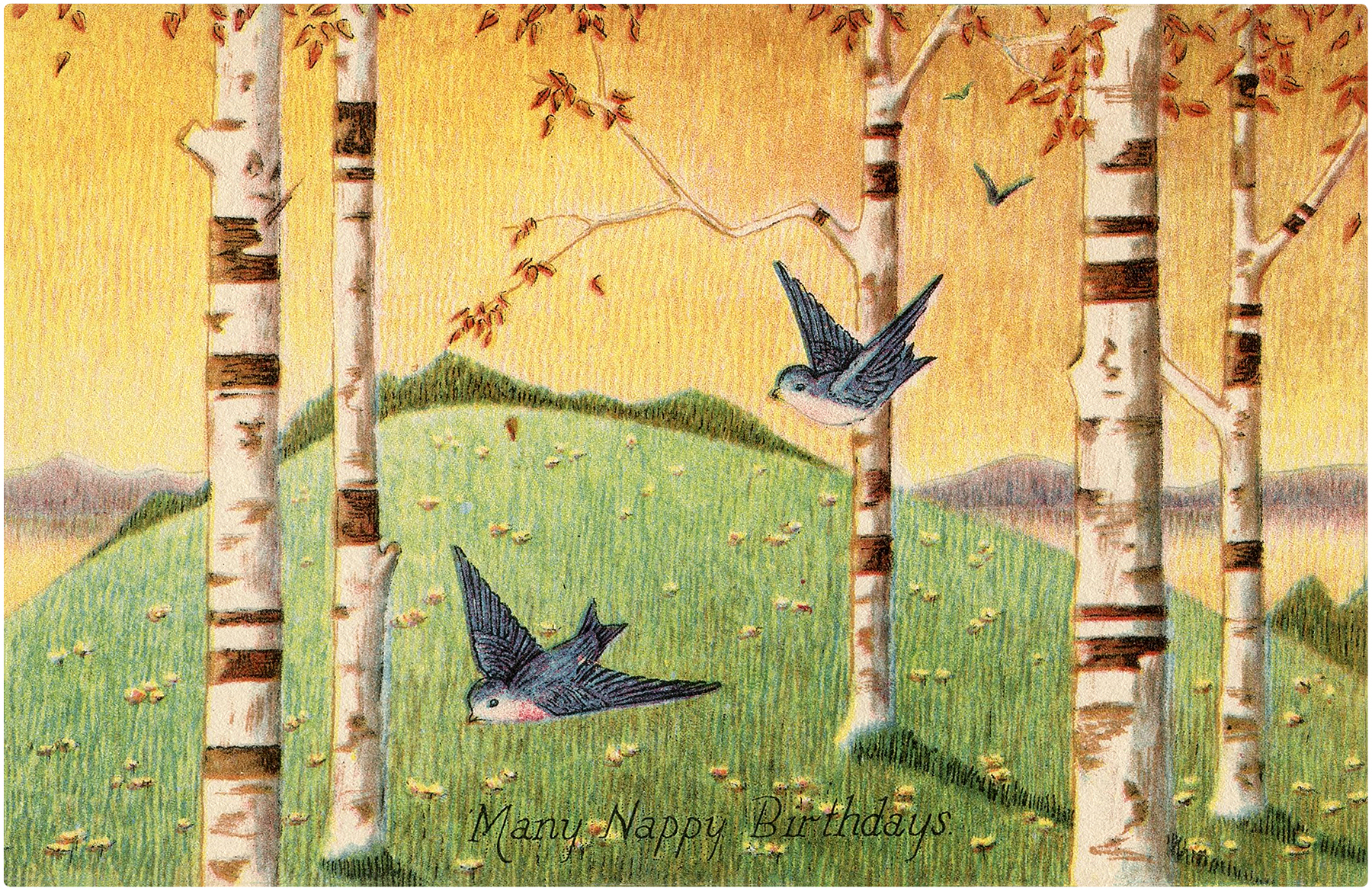 Whimsical illustration of birch trees, flying swallows, and a grassy hill with "Many Nappy Birthdays" text.