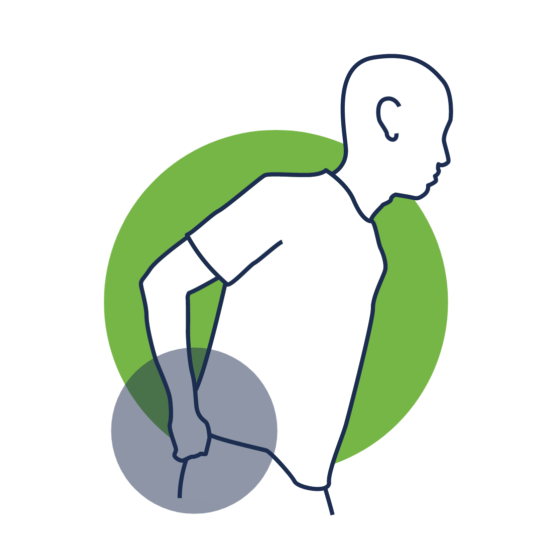 hip joints - Clip Art Library