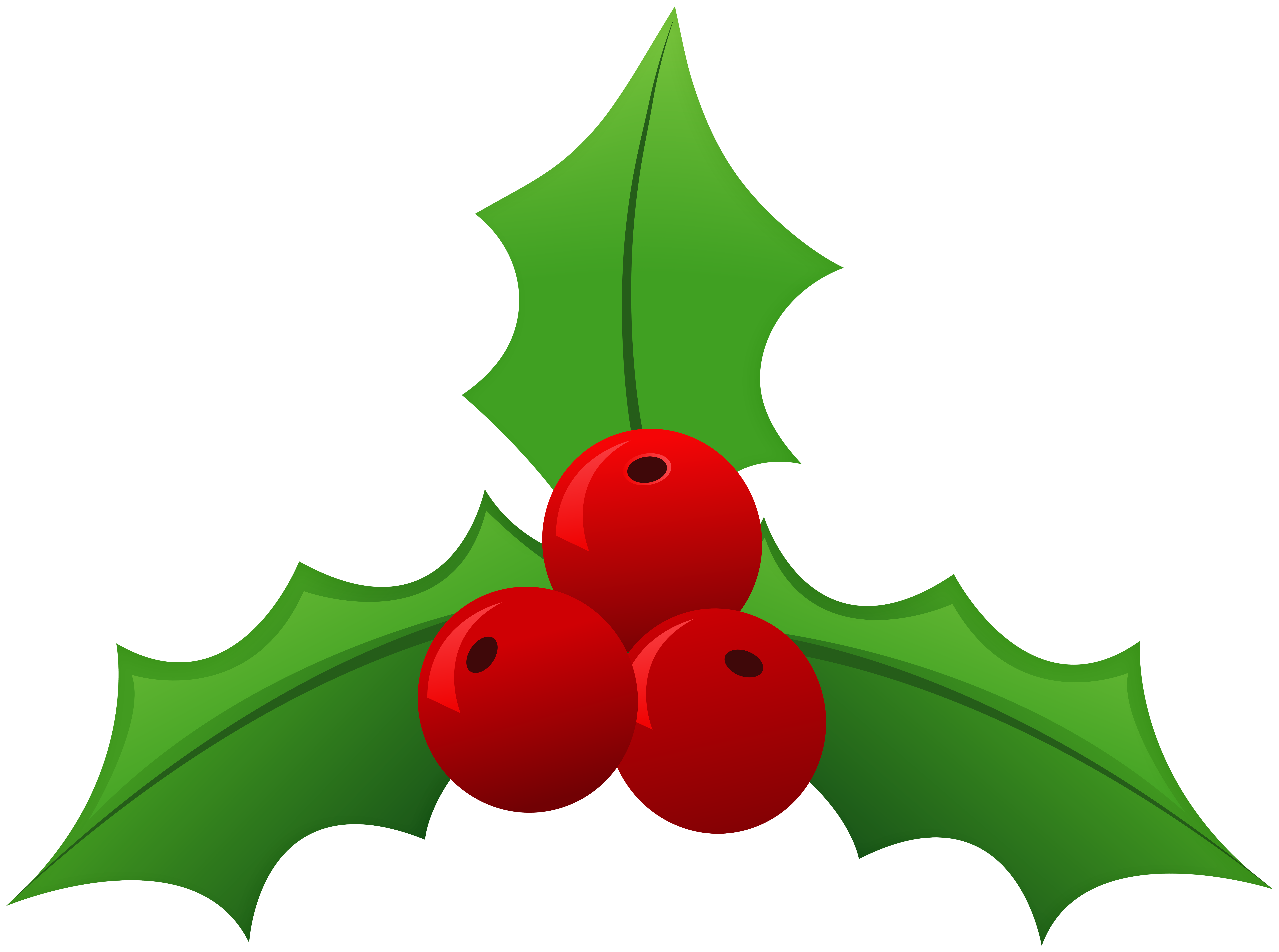 Christmas holly clipart. Free download transparent .PNG