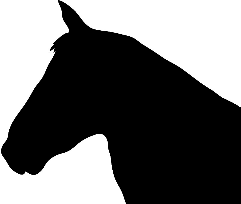 Black silhouette of a horse’s head in profile, clean vector-style outline against white background.