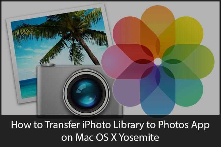 Camera, photo print of palm tree, and Apple Photos app icon illustrating iPhoto to Photos migration on macOS Yosemite.