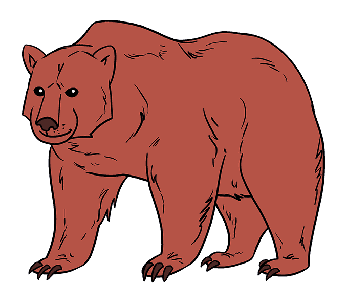 Illustration of a brown bear standing alert on dark background, with detailed fur texture and sharp claws.