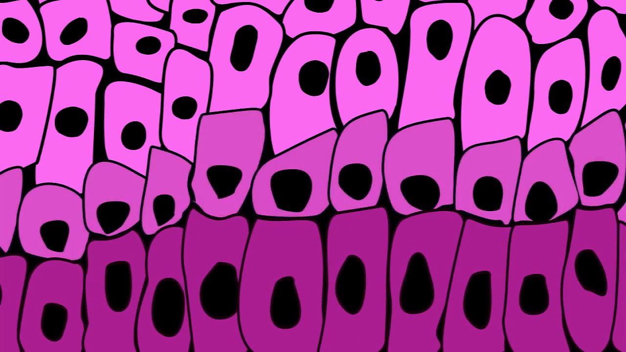 Abstract pattern of pink and magenta organic cells with black outlines and central dots, resembling stylized biological tissue.