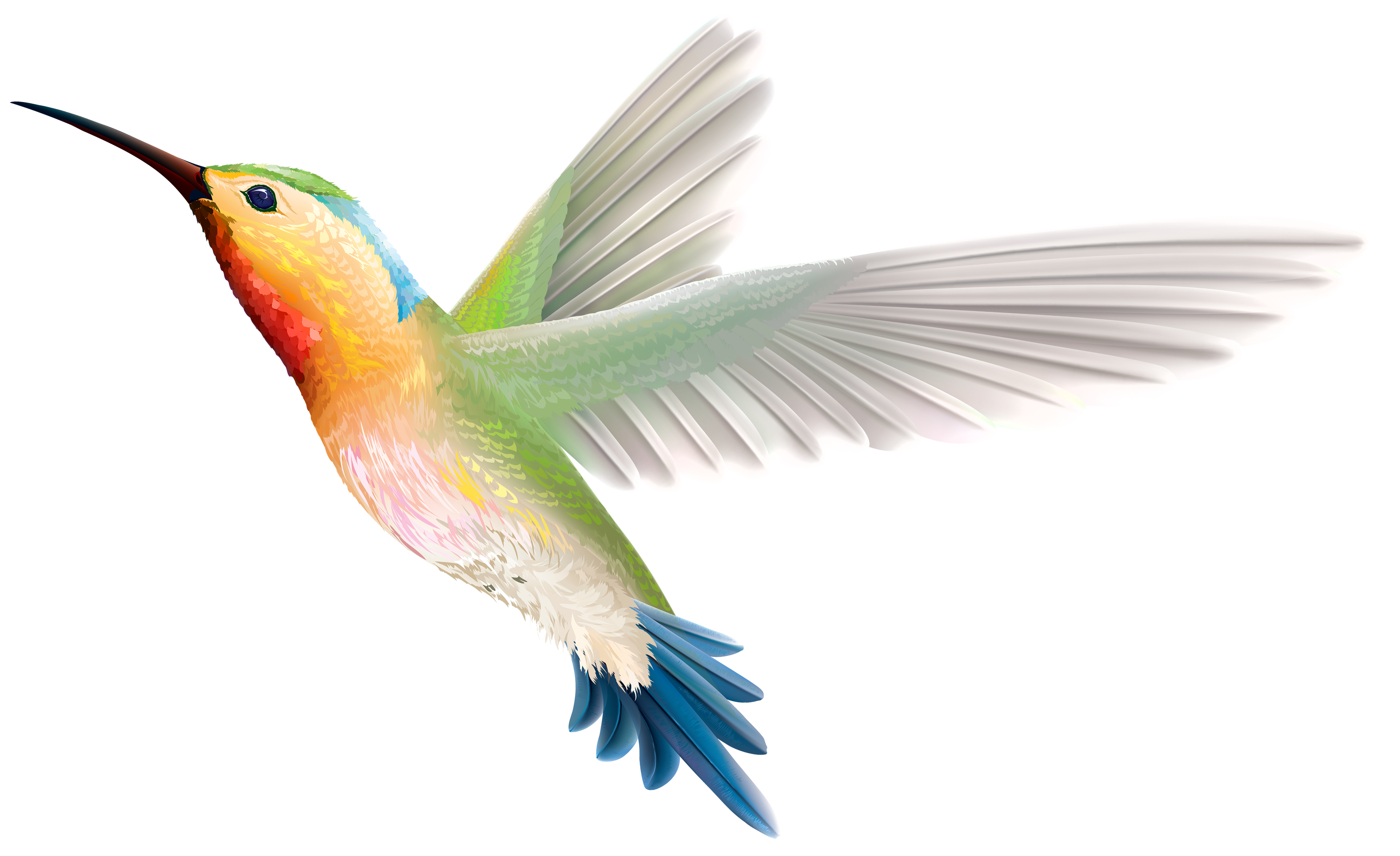 Vibrant hummingbird in mid-flight with iridescent feathers and outstretched wings against a colorful abstract background.