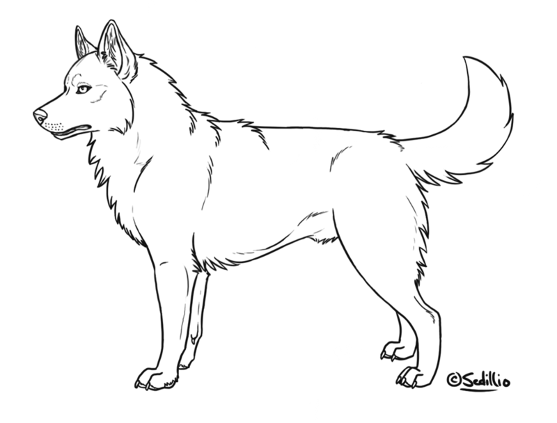 Black line-art illustration of a standing wolf in profile, alert and poised against a white background.