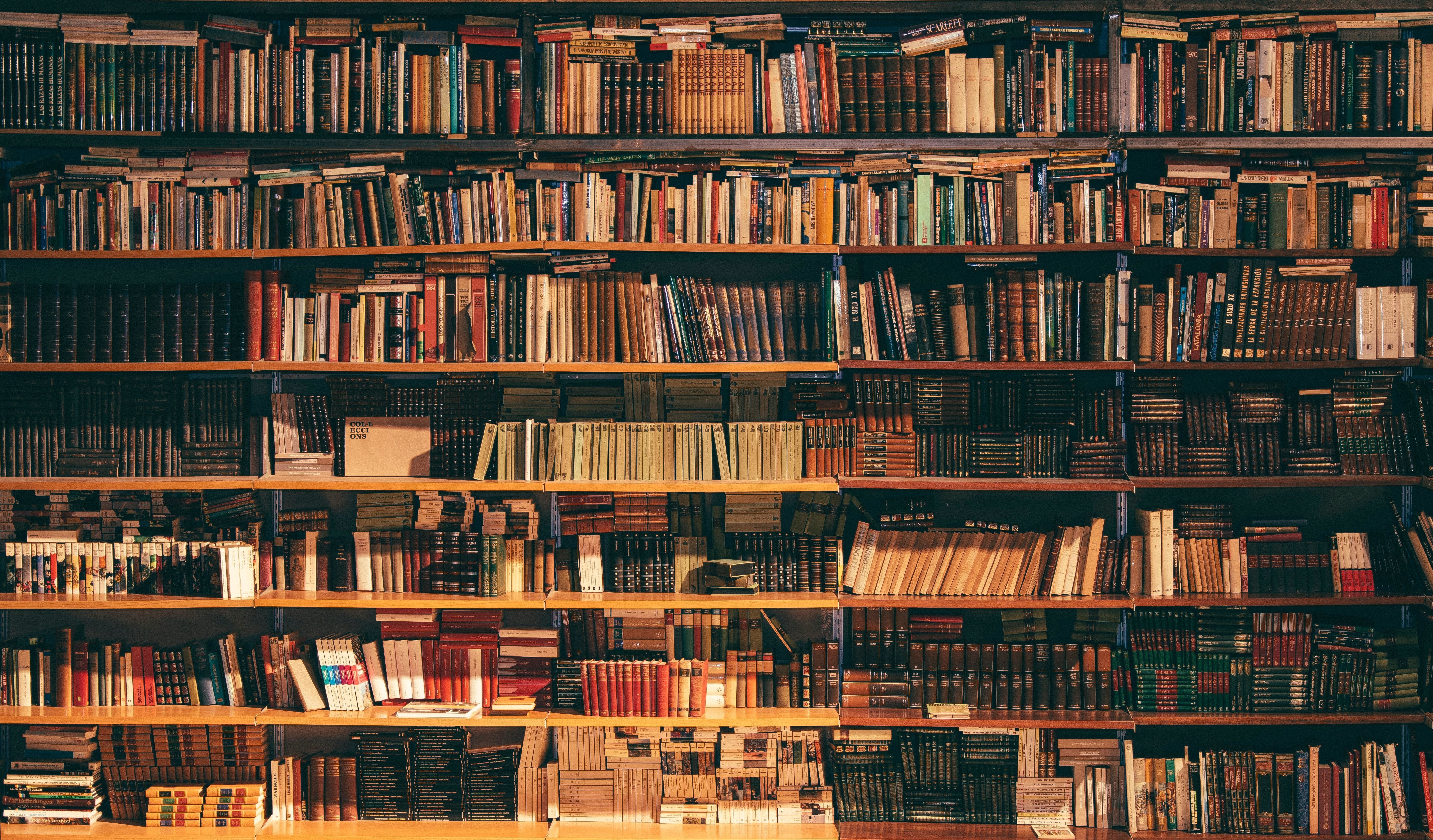 A warmly lit wooden bookshelf packed with hundreds of colorful, varied books in multiple languages and genres.