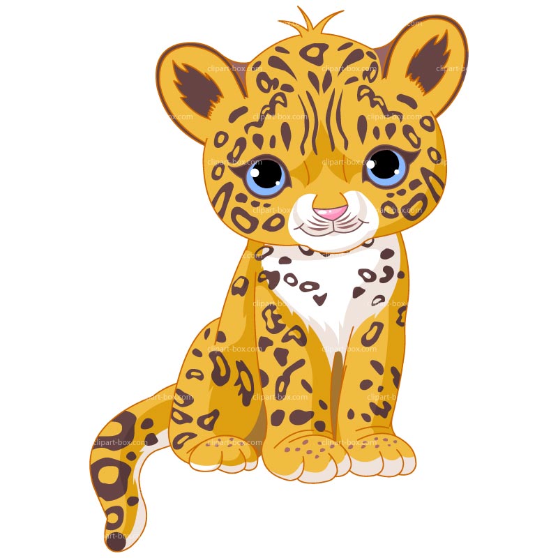 Cute cartoon jaguar cub with blue eyes, orange fur, and black rosette spots, sitting upright on white background.