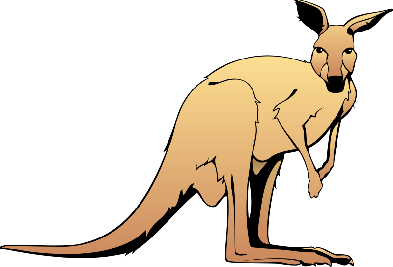 Stylized illustration of a tan kangaroo standing upright with large hind legs and tail, against black background.