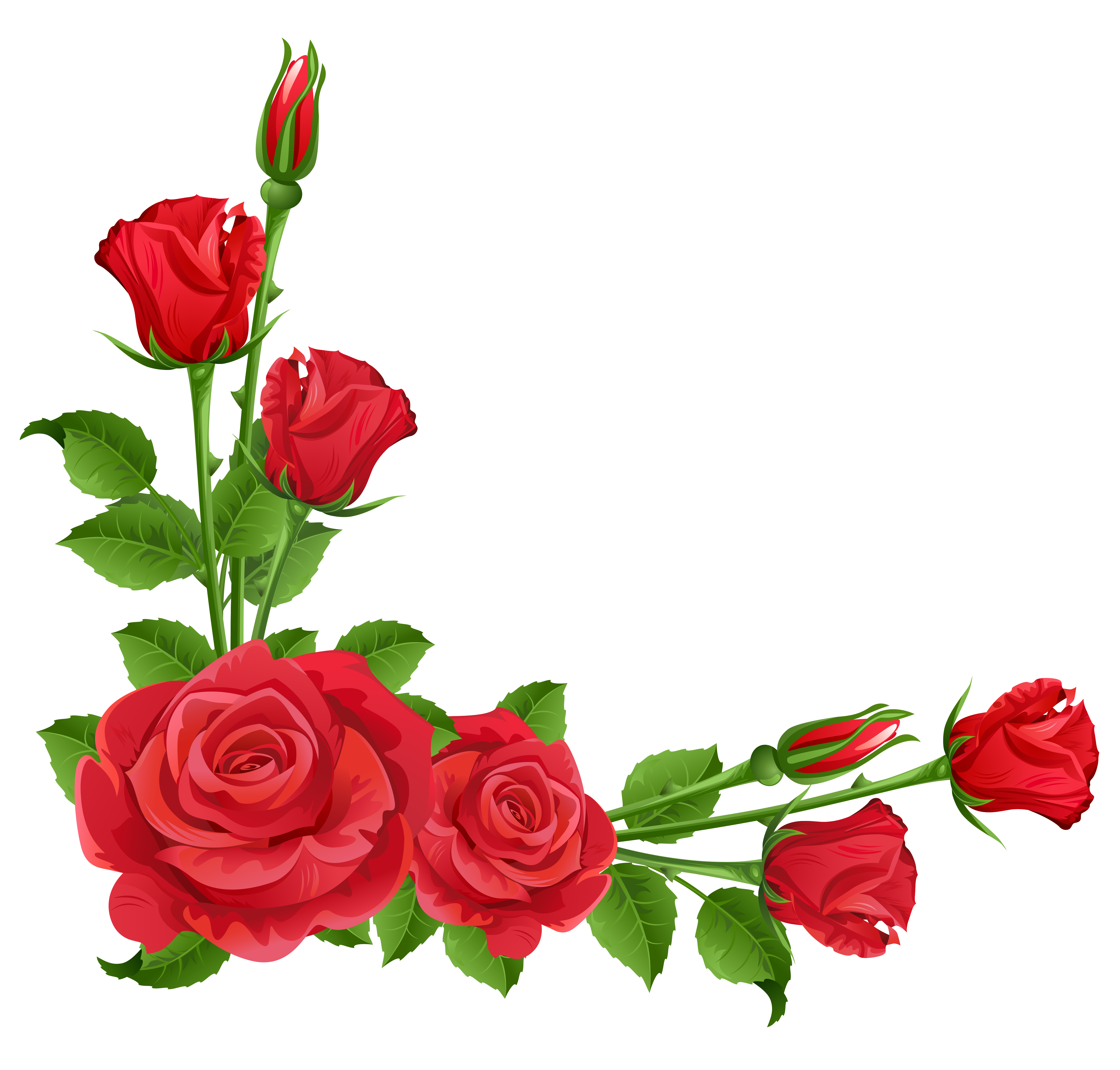 Vibrant red roses with green stems and leaves arranged in a decorative corner border layout.