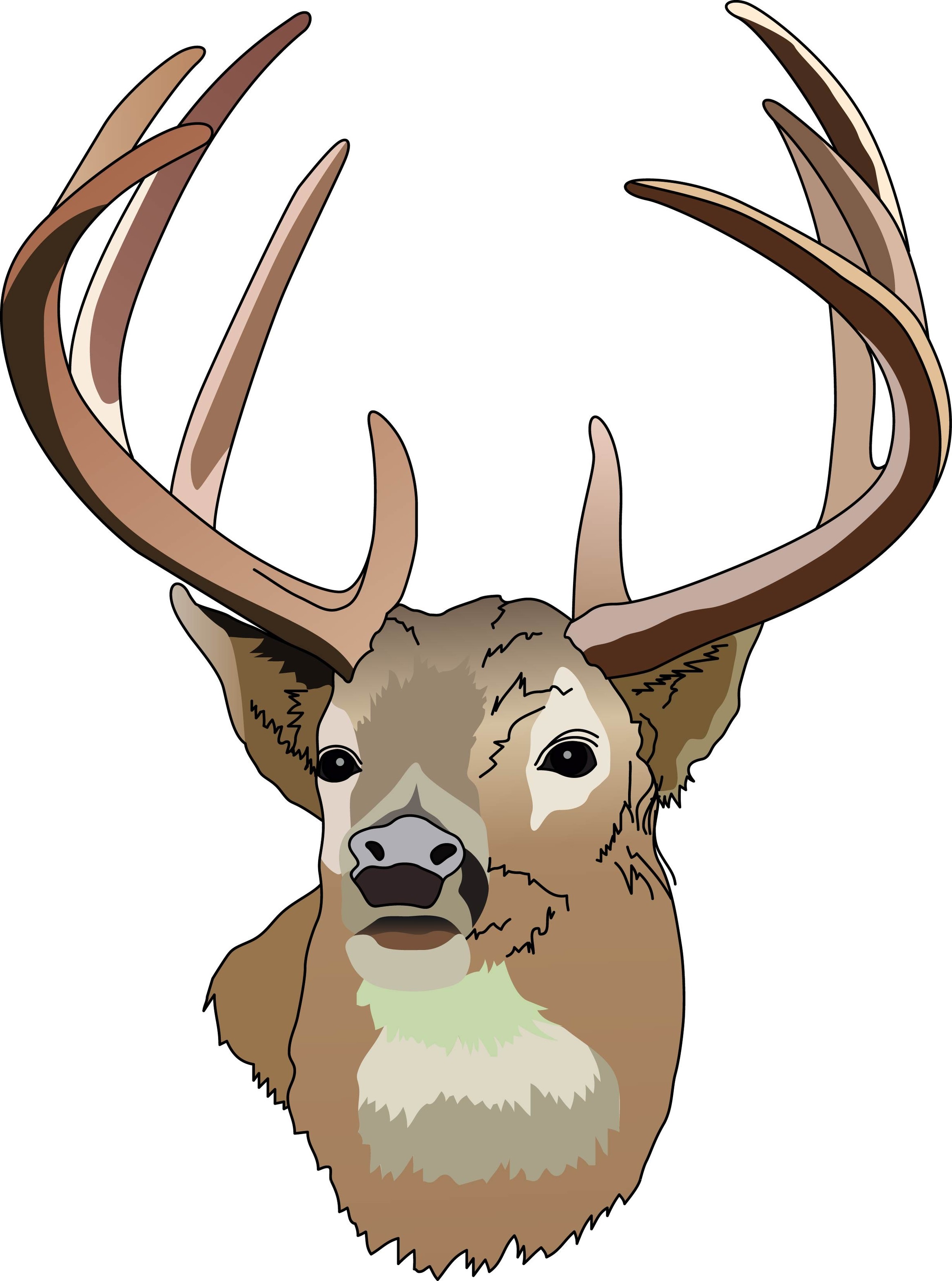 Illustrated buck with large antlers, brown fur, and expressive eyes facing forward.