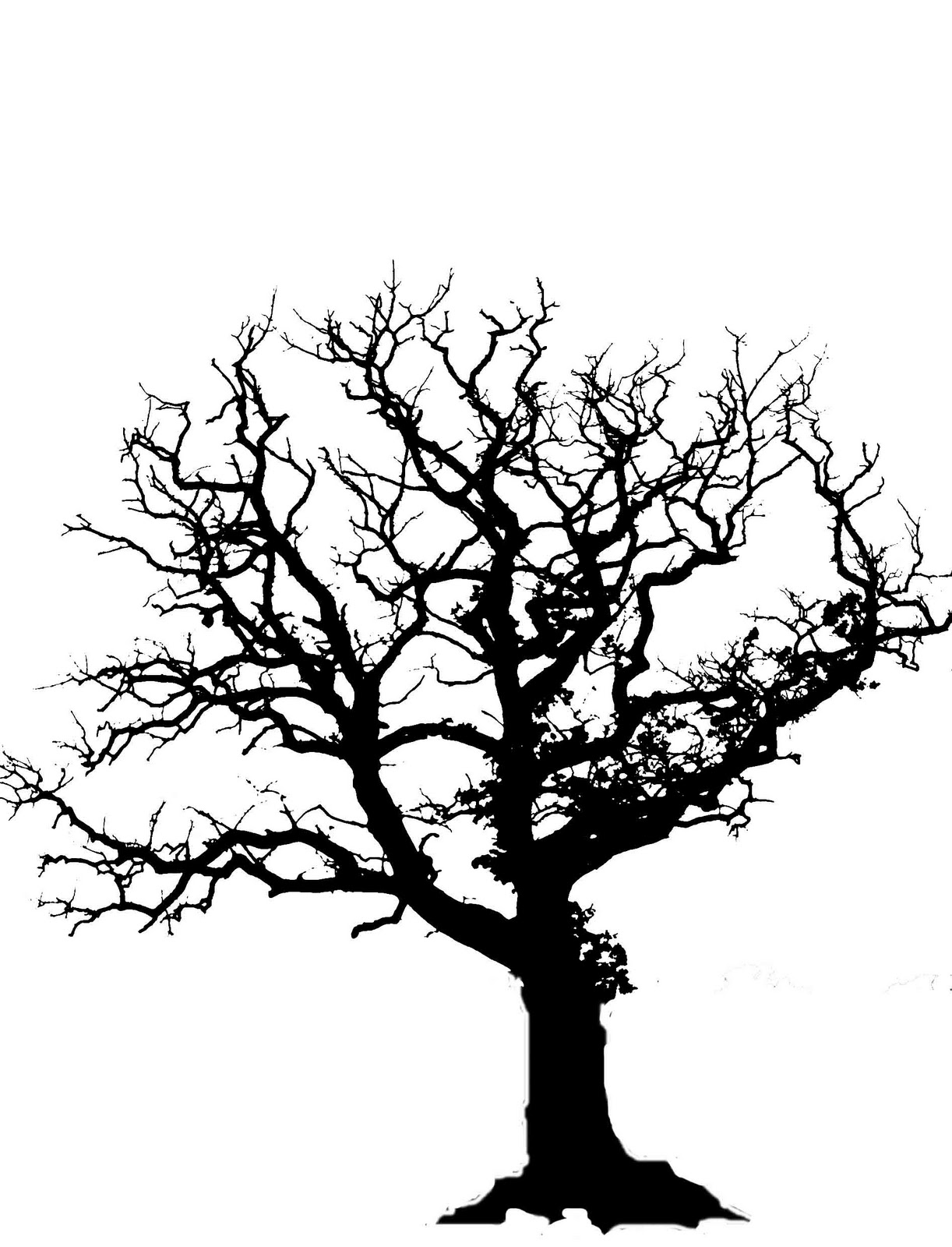 Silhouette of a leafless, gnarled tree with intricate bare branches against a white background.