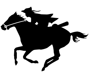 Black silhouette of a rider galloping on a horse, captured mid-stride with dynamic motion.