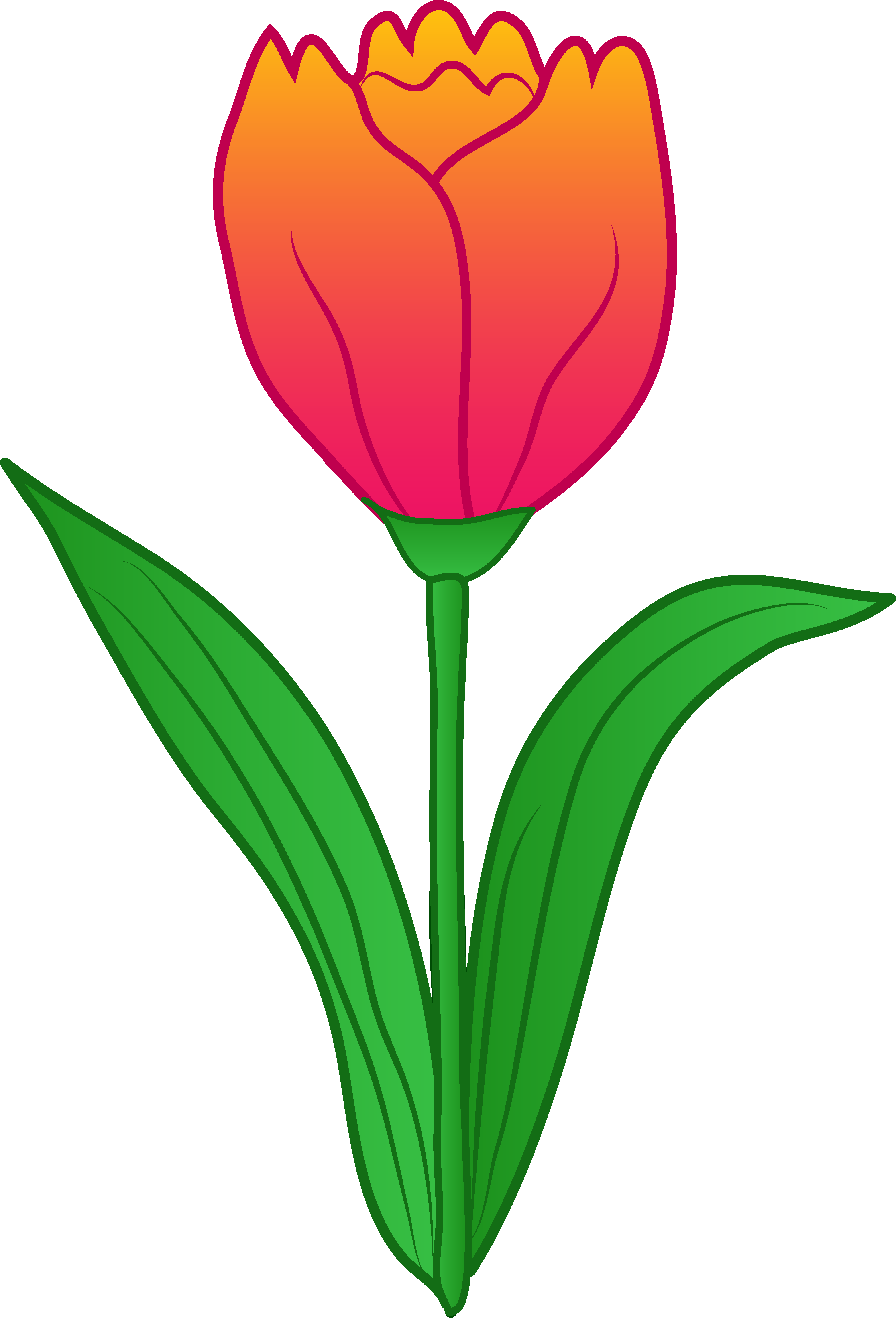 Bright Tulip Illustration - Free Clipart for Spring & Floral Designs