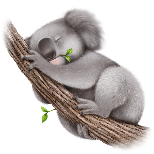 Koala clipart, PNG, EPS, JPG, Poses Koala, Set, Cute Animals