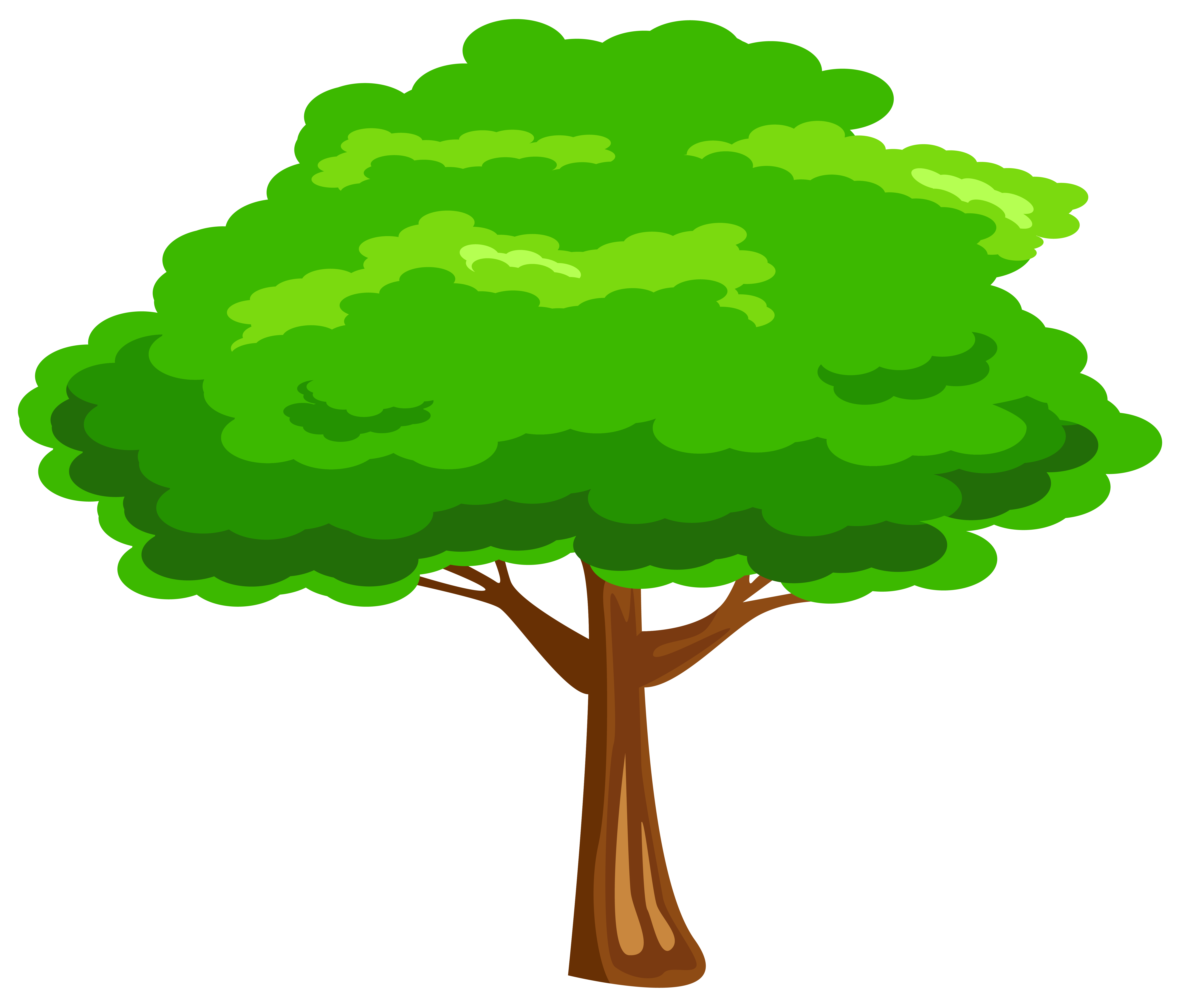 Green Tree Illustration - Free Clipart for Nature & Education Sites