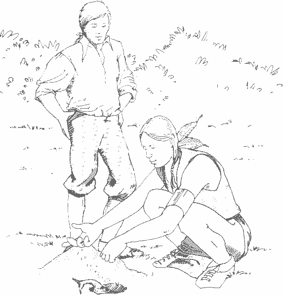 Two children outdoors examining a small animal or object on the ground; one crouches, the other stands observing.