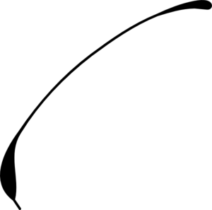 Placeholder Image - Default Visual Asset