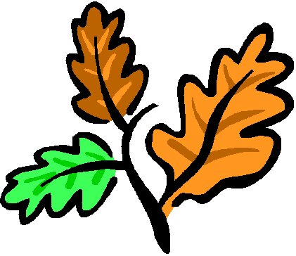 Three stylized oak leaves in green, brown, and orange on a white background, representing seasonal change.