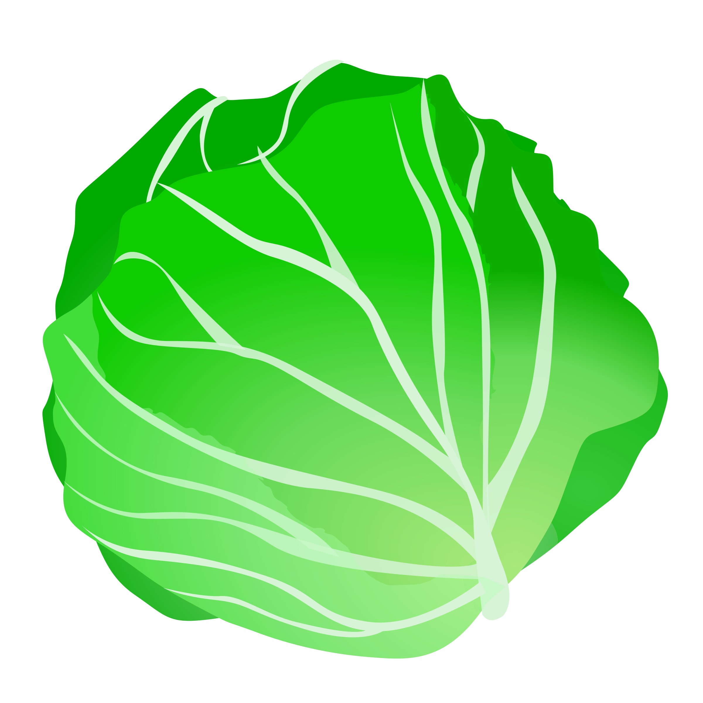 Fresh Cabbage - Nutritious, Crisp, and Versatile Leafy Vegetable