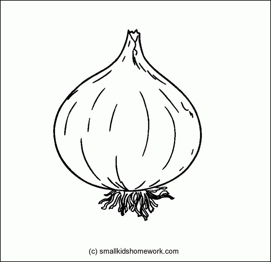 Black-and-white line drawing of a whole onion with roots and stem, suitable for coloring or educational use.