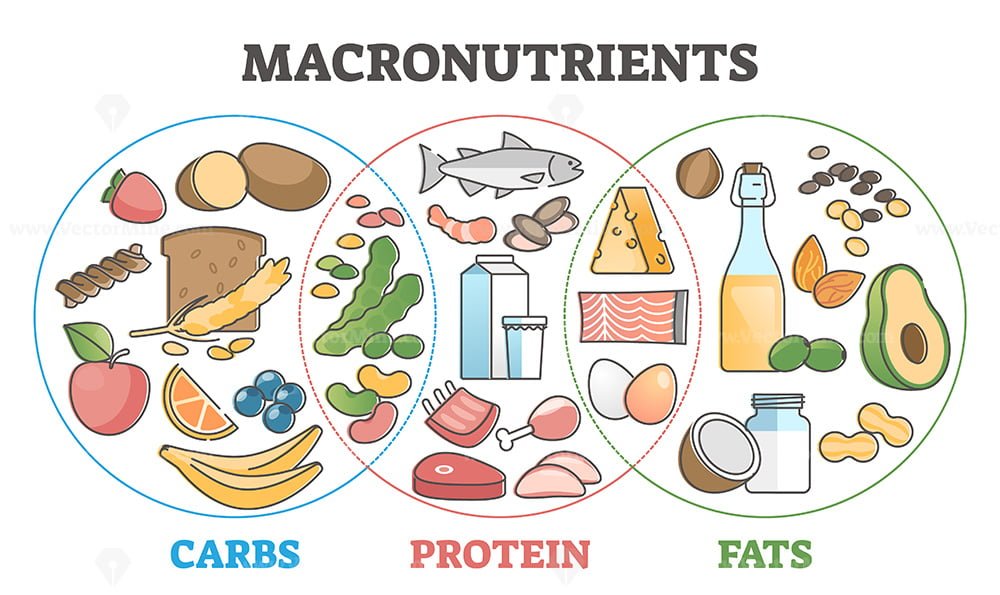 Carb Food Set Carbs Icons Collection Diet Vector Image Clip Art Library Carb Food Set Carbs Icons Collection Diet Vector Image Clip Art Library