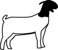 Black-and-white line drawing of a goat in profile, standing with head turned slightly forward.