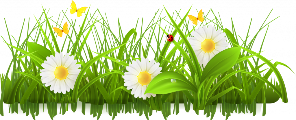1,802 Meadows Vector Images | Depositphotos
