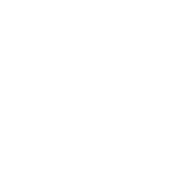 A blank white image with no visible content or detail.