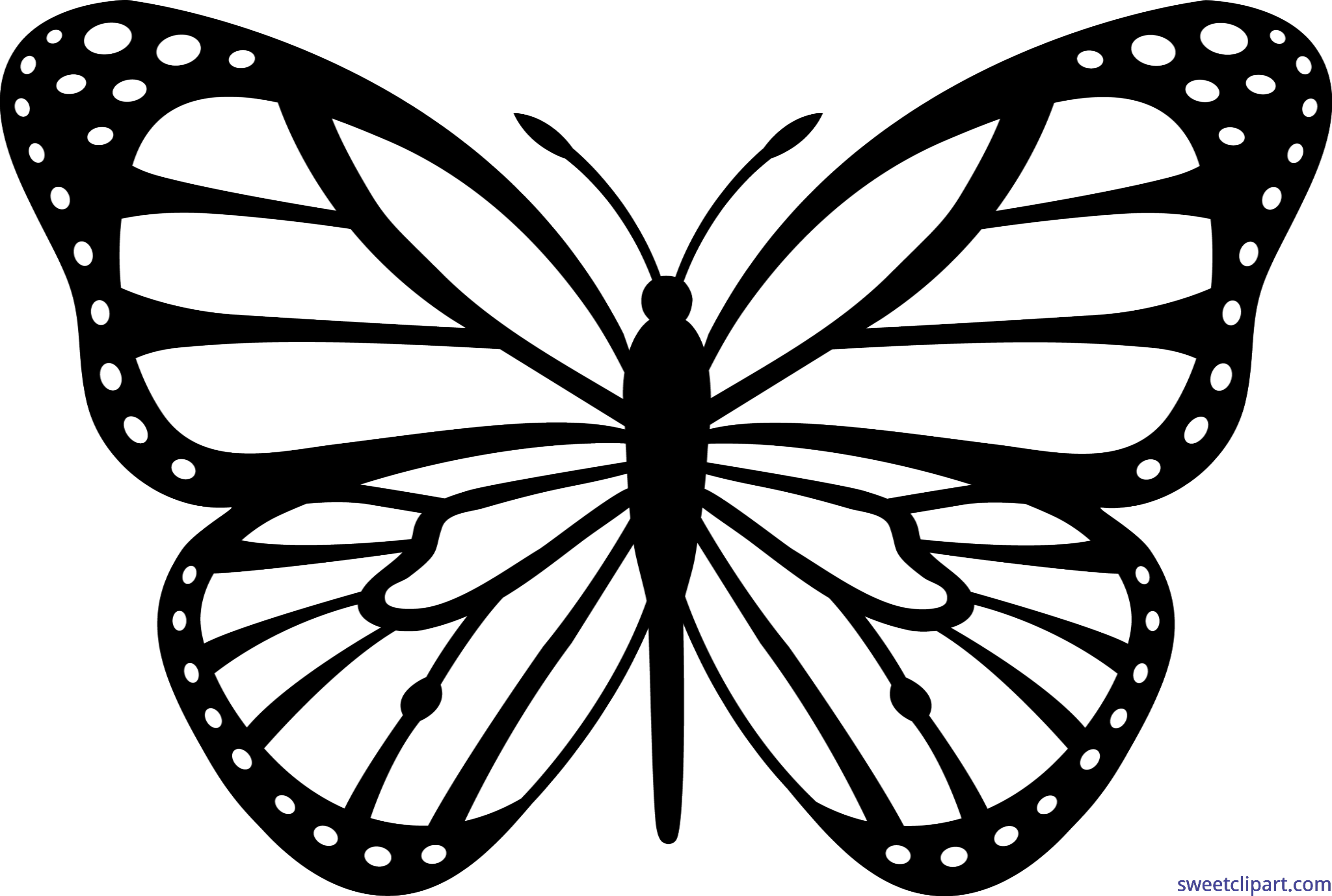 Black and white stylized butterfly wing silhouette with dotted border and vein patterns.