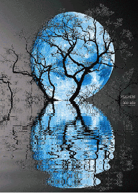 Silhouetted bare tree against a luminous blue moon, reflected in rippling water below.