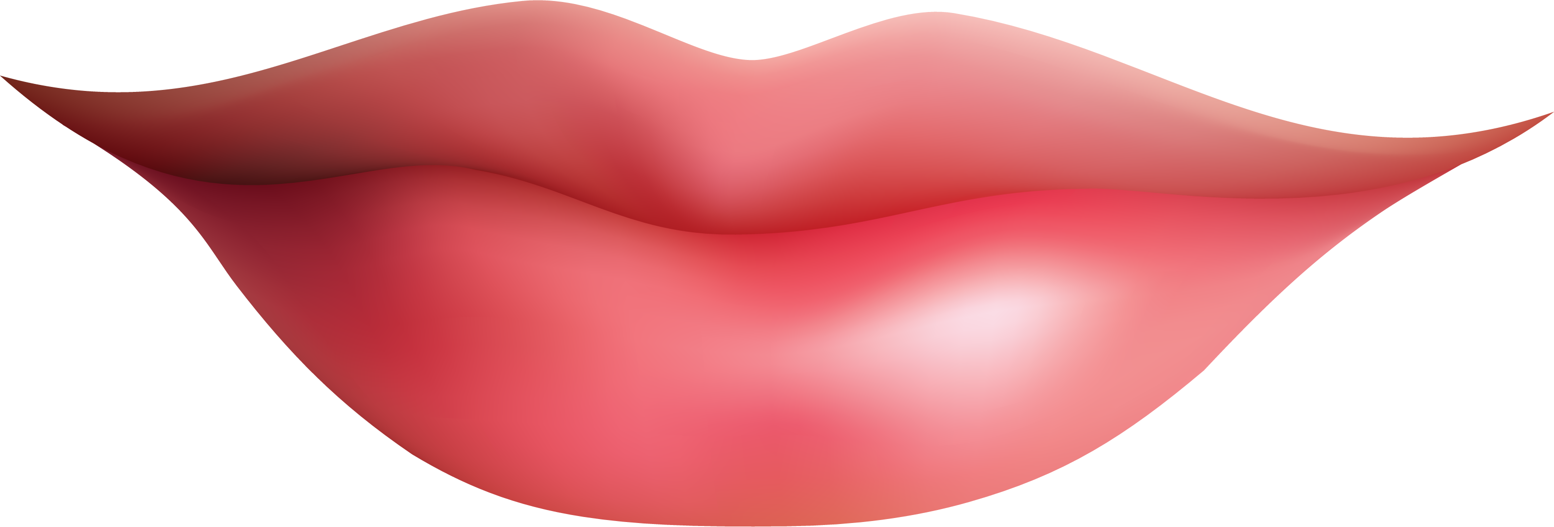 Premium Lip Illustration for Beauty & Cosmetics Websites