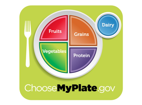 USDA MyPlate diagram showing fruit, vegetables, grains, protein, and dairy sections with fork icon and website URL.