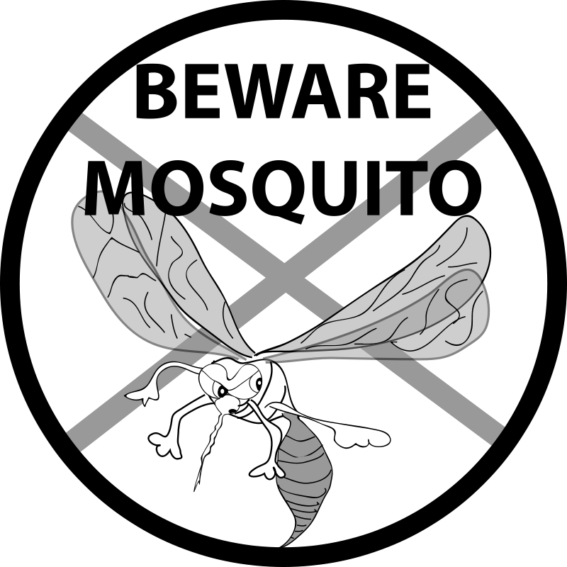 A stylized monochrome wasp with crossed swords behind it, forming a bold emblem or logo design.