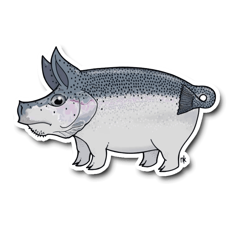 A whimsical hybrid creature combining a pig’s body with a trout’s spotted back and tail fin, illustrated in grayscale with fine dotwork.