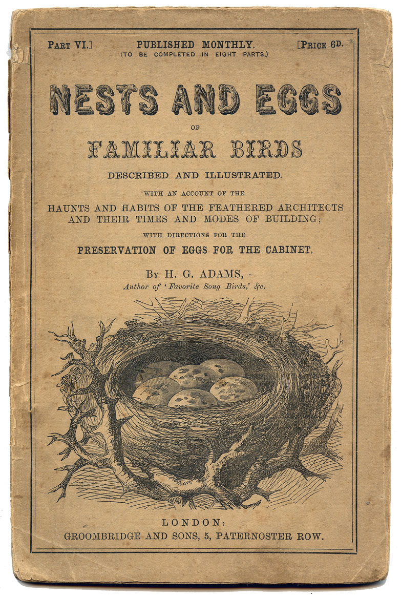 Vintage 1870s book cover for "Nests and Eggs of Familiar Birds" by H. G. Adams, featuring an illustrated bird’s nest with speckled eggs.